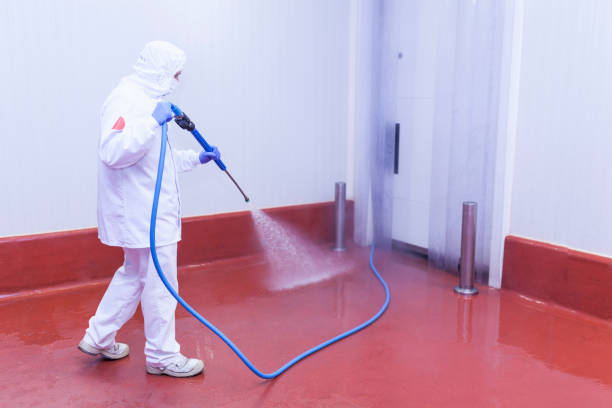 Best Roof Cleaning and Mildew Removal in El Cerrito, CA